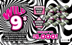 Wild 9s $1 scratch-off ticket (image: Florida Lottery)