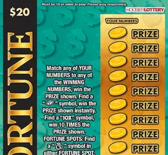 $500,000 Fortune $20 scratch-off ticket