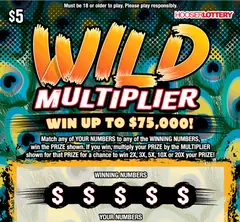 Wild Multiplier $5 scratch-off ticket