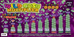 Wild Ca$h Multiplier $3 scratch-off ticket